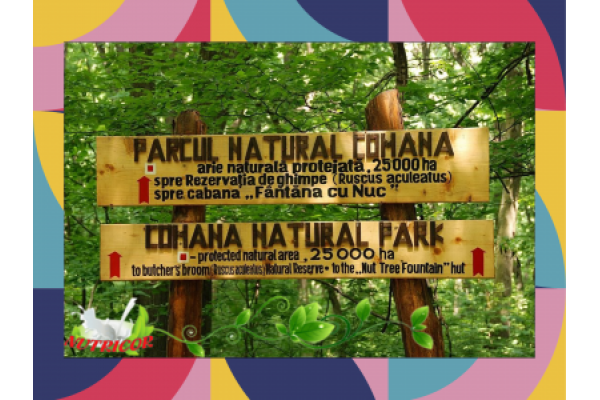 Centrul Nutricor - Parcul_Comana.png