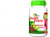 globy_646X320.jpg