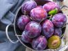 Prunele, sursa de vitamine si minerale