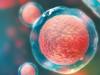 stem_cells_regenerare.jpg