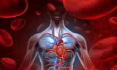 Transplantul de inima – beneficii si atentionare