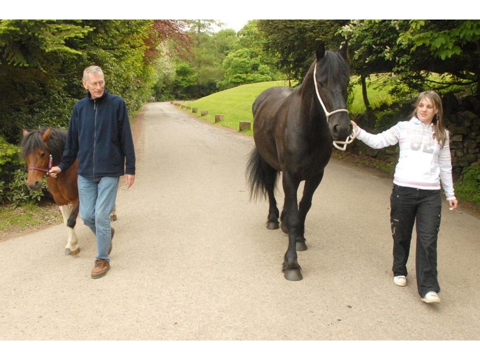 Centrul de tratament al dependentei Castle Craig - Horse_therapy.jpg