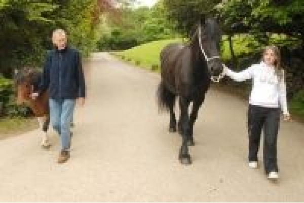 Centrul de tratament al dependentei Castle Craig - Horse_therapy.jpg