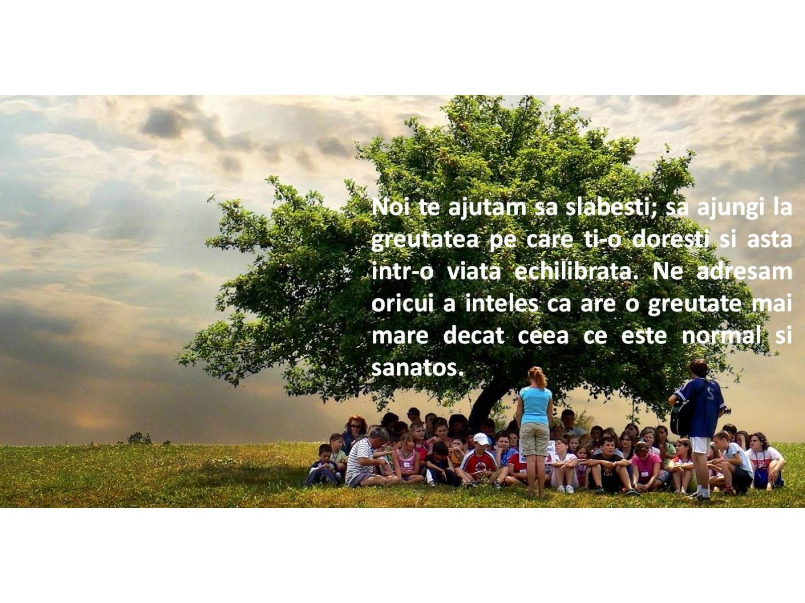 Centrul Equilibrum - Arbore_cu_text_pentru_inside_page_solutii_pentru_slabire.jpg