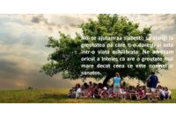 Centrul Equilibrum - Arbore_cu_text_pentru_inside_page_solutii_pentru_slabire.jpg