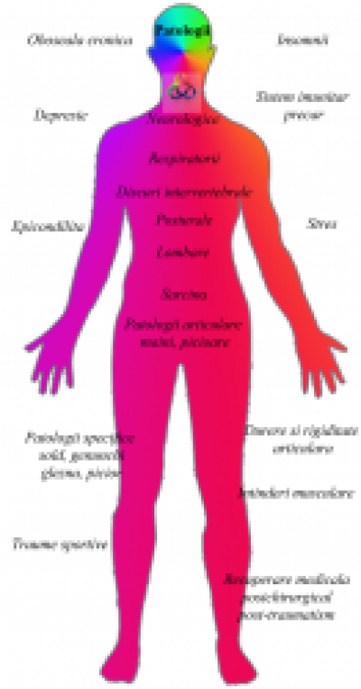 Terapie CranioSacrala si eliberare SomatoEmotionala Upledger