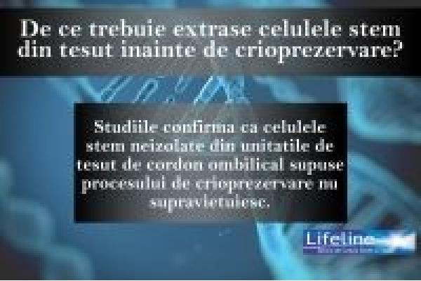 Lifeline Romania - extragerea_celulelor_stem.jpg