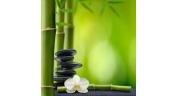 Cabinet individual de psihologie  Olaru Paula Virginia