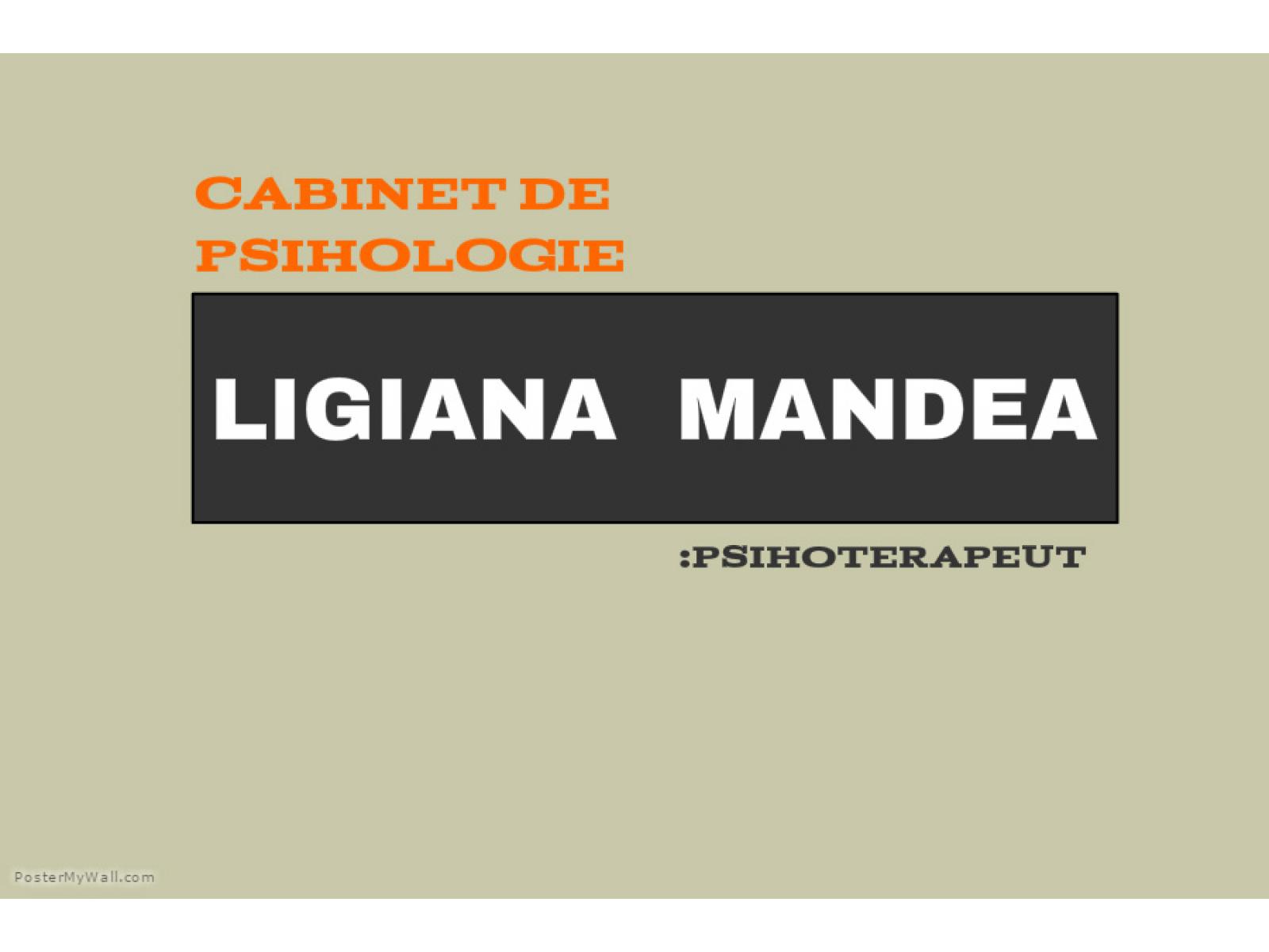 Cabinet Individual de Psihologie Mandea Mariana Ligiana - CABINET.jpg