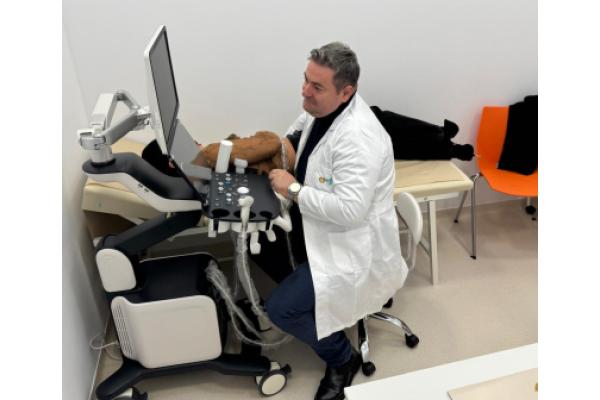 Armina ClinicMed - ecografie-cardiaca-timisoara.jpg