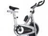 Bicicleta Spinning inSPORTline Stylus 