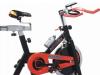 Bicicleta Spinning inSPORTline Delta 