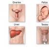 Determinarea alfa-fetoproteinei in sange