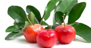 Vitamina C din fructul de Acerola – cel mai puternic antioxidant