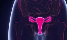 Ovarectomia (chirurgia indepartarii ovarelor)