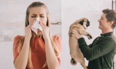 Alergiile la animalele de companie