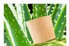 Aloe vera: beneficii si intrebuintari