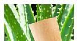 Aloe vera: beneficii si intrebuintari