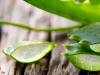 Proprietatile nestiute ale plantei aloe vera