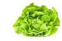 Salata verde, beneficii pentru sanatate