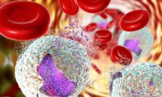 Testarea mutatiilor BRCA: proceduri, recomandari