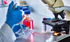 Utilizarea multipla a celulelor stem recoltate la nastere