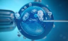 Recoltarea celulelor stem din cordonul ombilical: o decizie care nu suporta amanare 