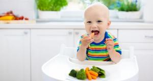 Dieta vegana in randul copiilor