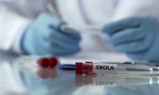 Ebola - cum se poate impiedica raspandirea bolii?