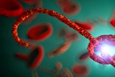 Ebola: simptome, cauze, tratament si preventie