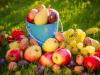 7 fructe care previn cancerul. introdu-le in dieta ta!