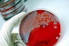 Infectiile bacteriene