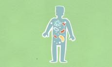 Microbiomul intestinal: cum iti influenteaza digestia, imunitatea si starea de spirit?