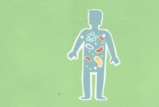 Microbiomul intestinal: cum iti influenteaza digestia, imunitatea si starea de spirit?