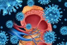 Sindromul hemolitic uremic – mecanismul patologiei