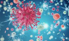 Superbacteriile: informatii esentiale