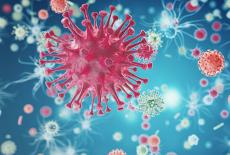 Superbacteriile: informatii esentiale