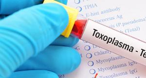 Totul despre toxoplasmoza - cauze, simptome, tratament