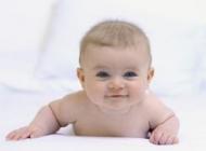 Bebe