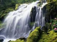 Landscapes