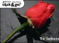redrose