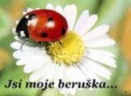 buburuze