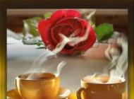 HAI LA O CAFEA