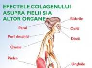 EFECTELE LIPSEI DE COLLAGEN DIN ORGANISM