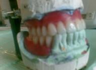 medicina dentara - cmi dr. daniela hurducas