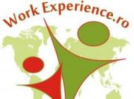 Work Experience